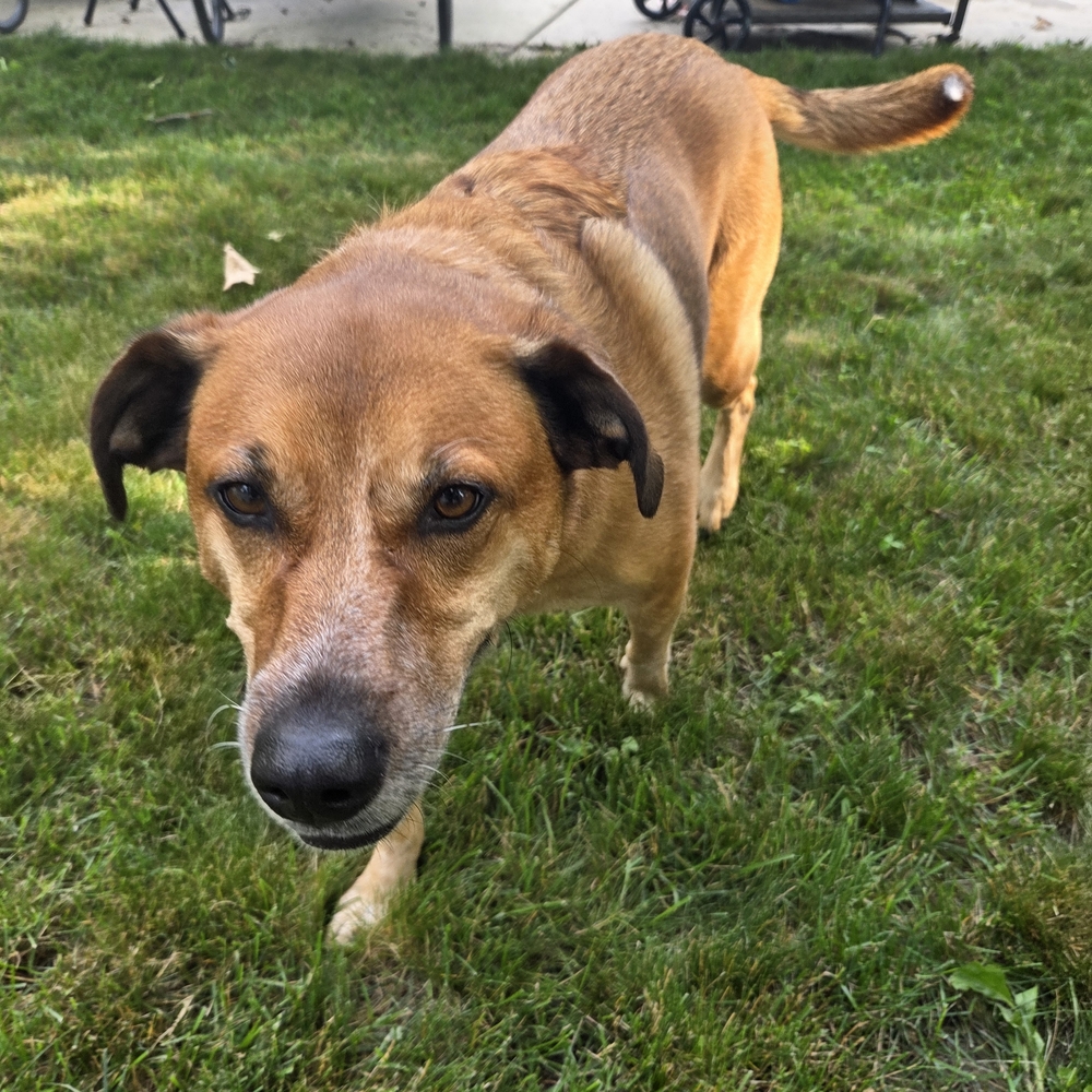 Bundle Two Items Or More In My Closet And Get 30% Off!